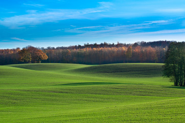 autumn and green fields in North Germany