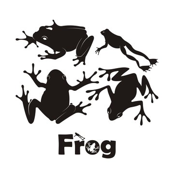Frog Silhouette Vector. Frog of silhouettes set vector