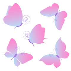 butterflies design