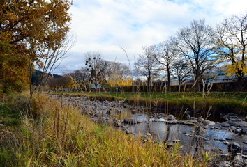 Herbst an der Dreisam