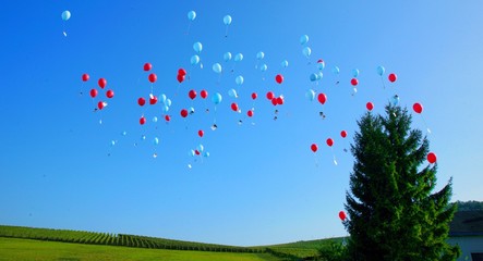 Luftballons steigen lassen