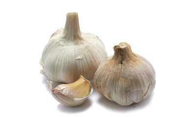 Garlic  isolated on white background