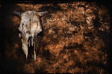 gloomy grunge background with cow skull and copy space