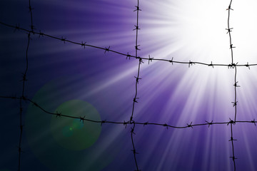 Sun and barbed wire