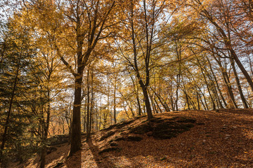 Landschaft im Herbst