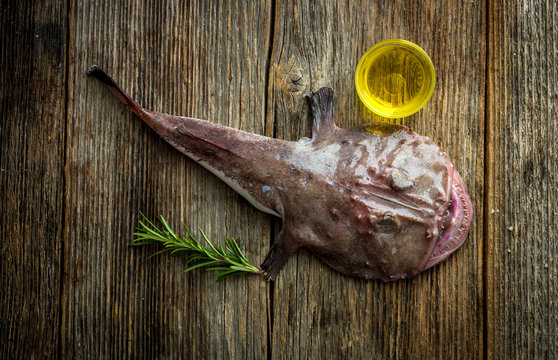 Angler fish
