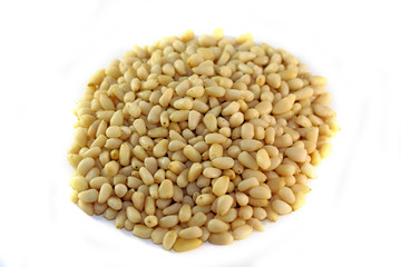 Pine nuts from pine trees