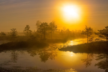 Naklejka na ściany i meble Foggy morning at Yelnya swamp, Belarus