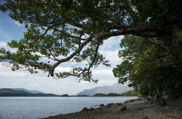 Lakeland scene