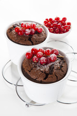 Fototapeta na wymiar chocolate baked pudding with redccurent on white. healthy desser