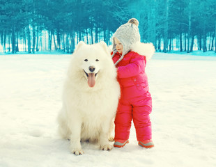 Child with white Samoyed dog on snow walking in winter day