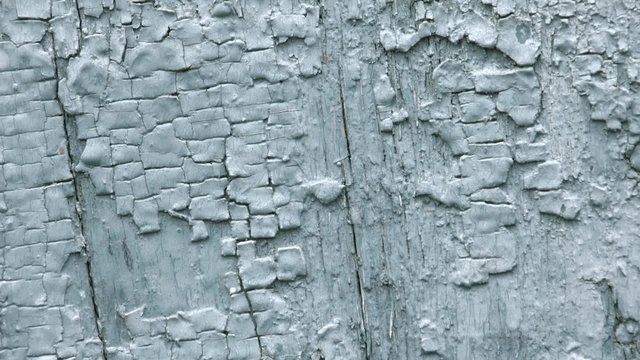wood texture vintage background. old peeling paint on wood. h