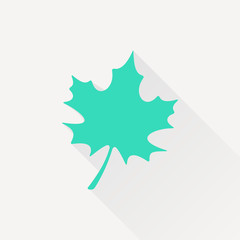 Vector maple leaf icon 