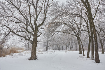 Fototapeta na wymiar Beautiful winter landscape 