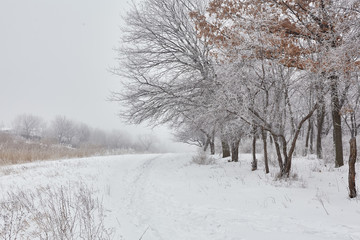Beautiful winter landscape 