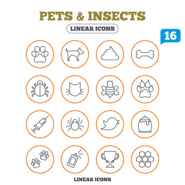Pets and Insect icon. Dog, Cat paw with clutches