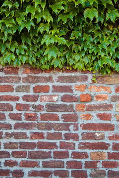 old brick wall © vladimirnenezic