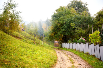 Fototapeta na wymiar Road in country. Carpathian, Ukraine