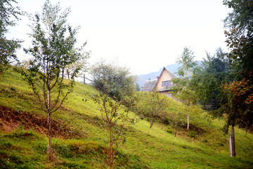 Foggy autumn morning in the mountains. Carpathian, Ukraine