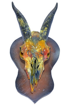 Goat skull/Dirty colors on goat skull on white background.
