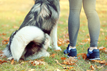 Obraz premium Happy young woman jogging with her dog in park