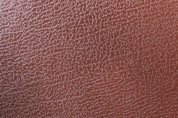 Close up  texture of colorful leather