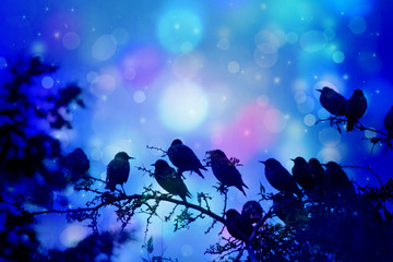 Dreamy winter scene with starling birds sittin on the tree branches in the garden