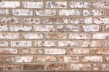red brick wall