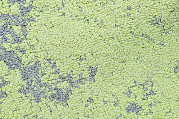 Carpet floor/A close-up of green carpet showing texture.