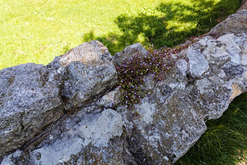 old stone wall