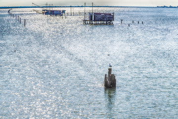 seagull and fishing huts with netfish