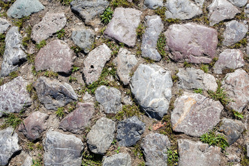 detail of cobblestone path