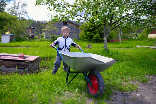 Cute young baby boy pushing wheelbarrow in garden