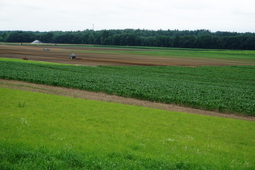 Fototapeta na wymiar farmer working in the field in spring