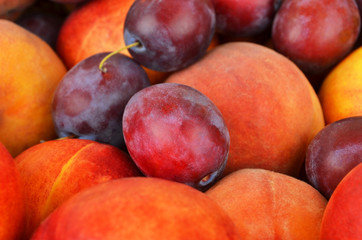 Fototapeta na wymiar Some of plum peach fruit, close up, DOF