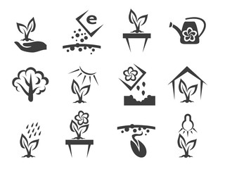 Plant and sprout growing vector icons set