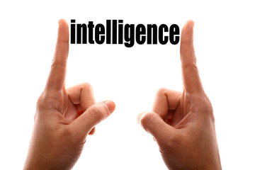 Smaller intelligence