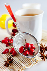 canina rosa with ripe red berries / rose hip / Pometum