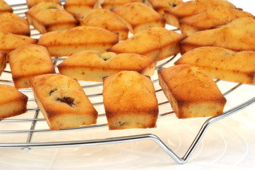 Financiers posés sur une volette à gâteau