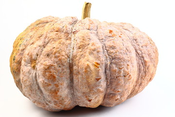 pumpkin ugly rot isolated on white background