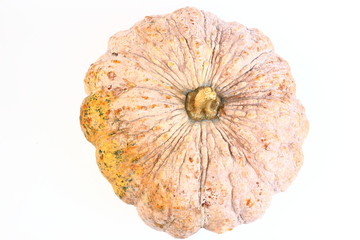 pumpkin ugly rot isolated on white background