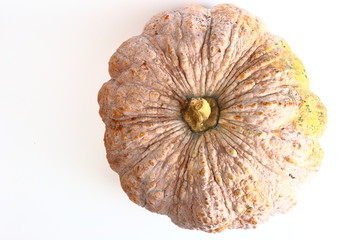 pumpkin ugly rot isolated on white background