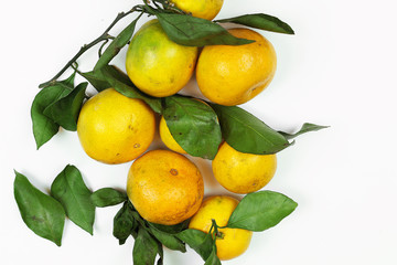 mandarin fruit isolate white