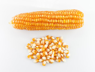 Dried corn kernels isolated on white background