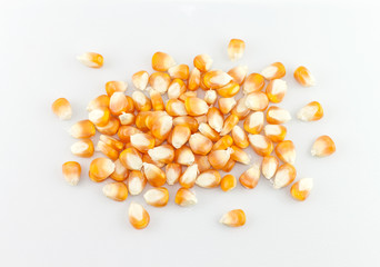 Dried corn kernels isolated on white background