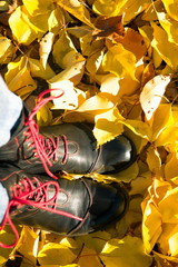 Woman walking on a street full of dead leaves during Autumn. Feet on the yellow leaves. walk on the foliage. shoes with yellow leaves
