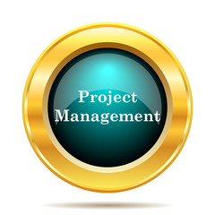 Project management icon