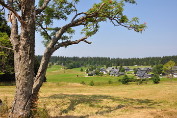 Friedrichsh&ouml;he im Th&uuml;ringer Wald