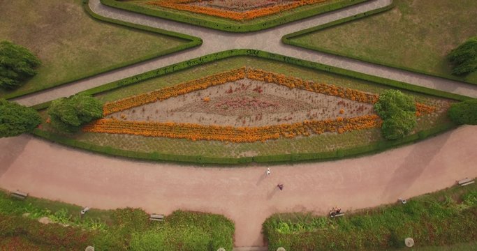 Aerial filming in picturesque and romantic dendrological park