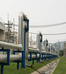 industrial pipelines on pipe-bridge
